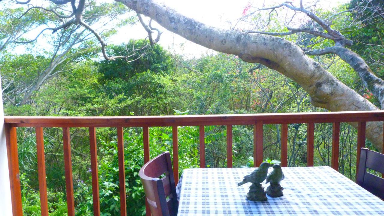 Royston Hall Historical Guesthouse Umtentweni Экстерьер фото