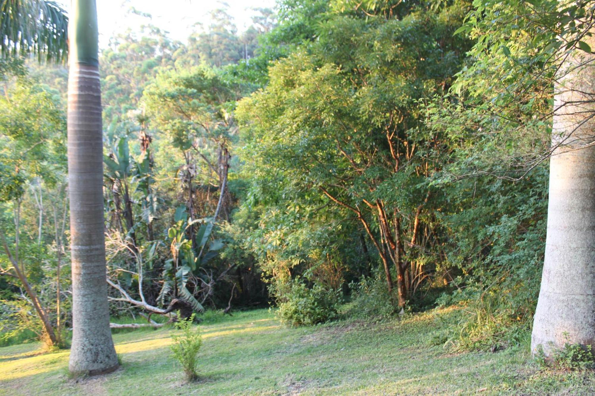 Royston Hall Historical Guesthouse Umtentweni Экстерьер фото